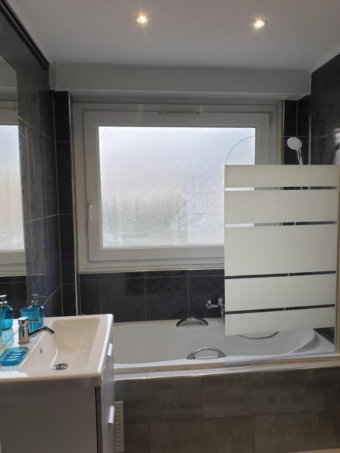 Appartement La Roseraie Proche Centre/Gare Metz Eksteriør billede