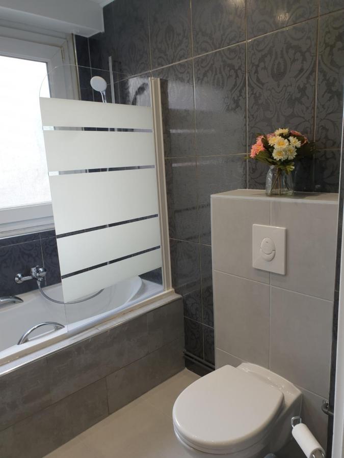 Appartement La Roseraie Proche Centre/Gare Metz Eksteriør billede